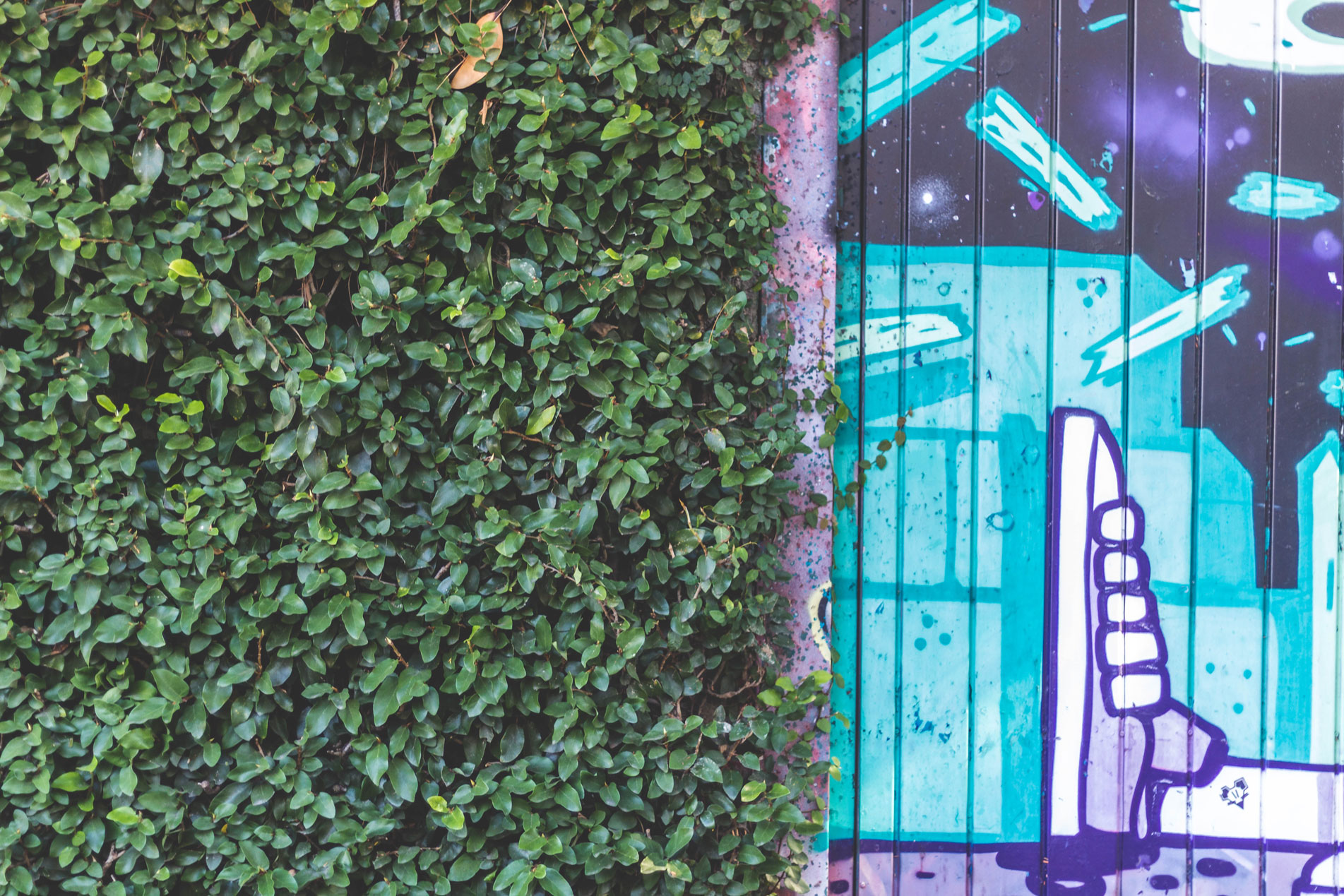graffiti-shoe-natural-green-landscape